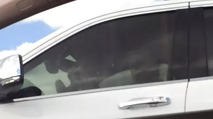 Egy fiatal pár édes házi pina szóbeli szórakozása.